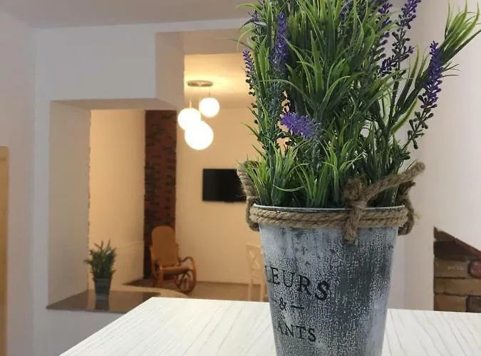 Brasovapart Piata Sfatului 2 Appartamento Braşov