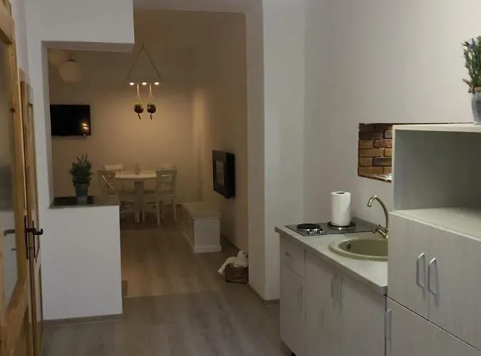 Apartment Brasovapart Piata Sfatului 2 *