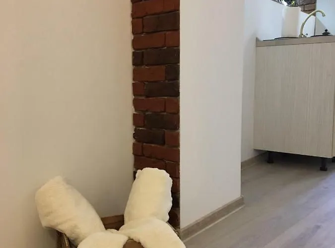 Apartment Brasovapart Piata Sfatului 2 *